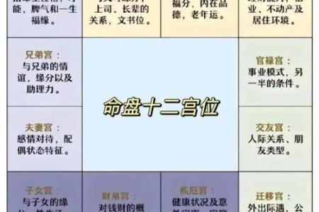 紫薇斗数排盘准不准