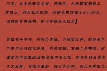 中洲派紫薇斗数