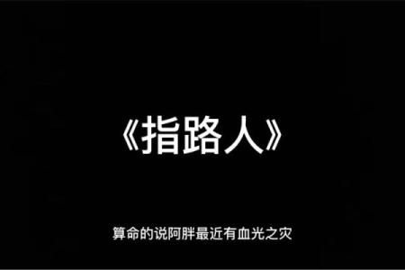 胖子给老太太算命的电影