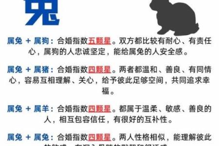 生肖兔与龙配对姻缘 生肖兔与龙相配吗？