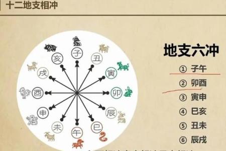 八字易经基础，打通未来财运大门！