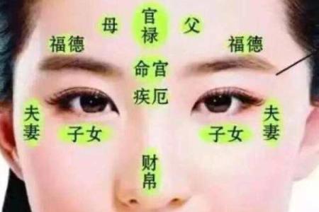 倒八字眉的女人面相好不好