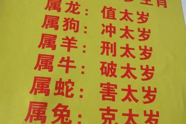 属龙和属牛的八字合吗