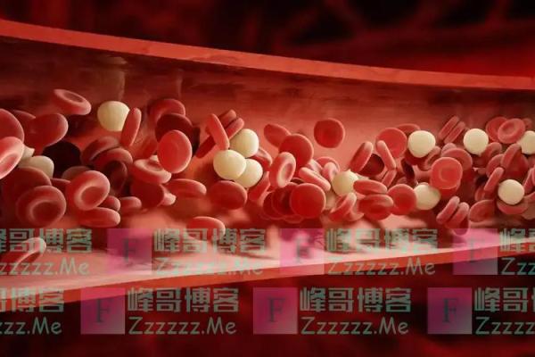 从血型的角度看寿命长短 长知识的科学论