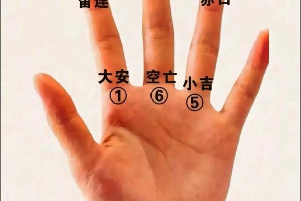 一掌经算命最准的方法