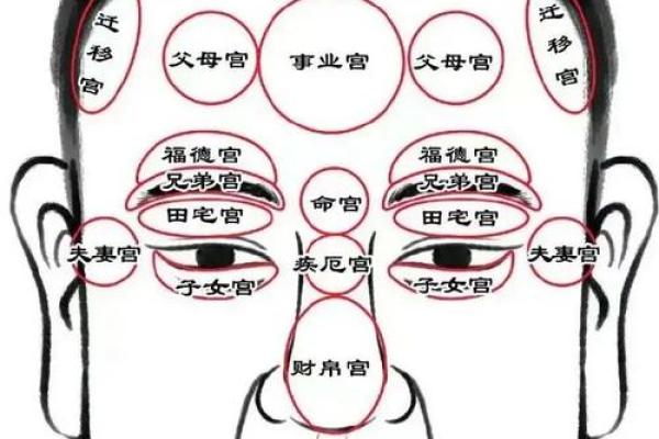 风水面相耳朵耳垂大是不是很有福气