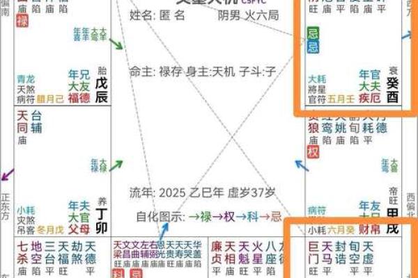 紫微斗数天机星的学习摘录分享