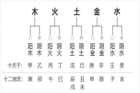 八字命理基础知识：四柱的各柱含义