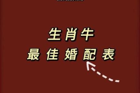 1971年属什么生肖配对 1971年属什么生肖配对最好