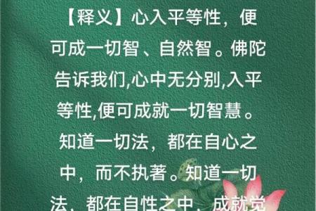 《华严经》577#小毛子遭难遇观音