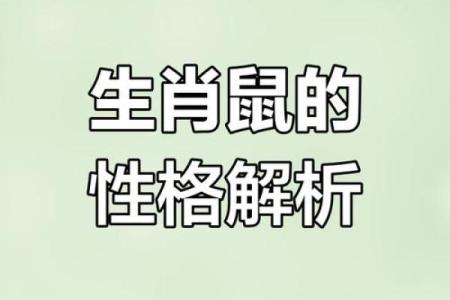 属鼠A血型的人性格与事业姻缘