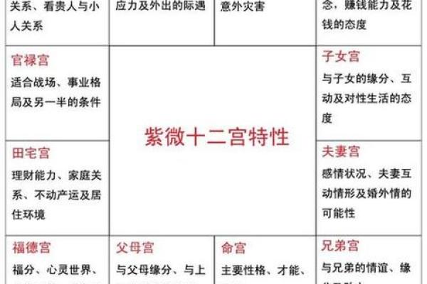 紫薇斗数的命主身主什么意思