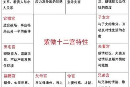 紫薇斗数的命主身主什么意思