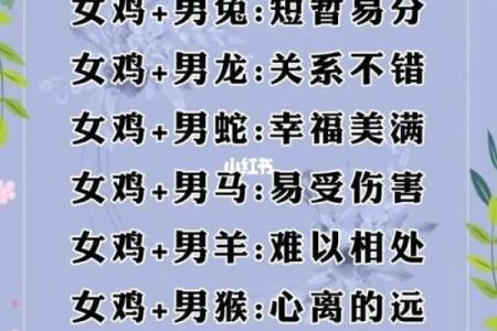 十二属相生肖配对姻缘查询