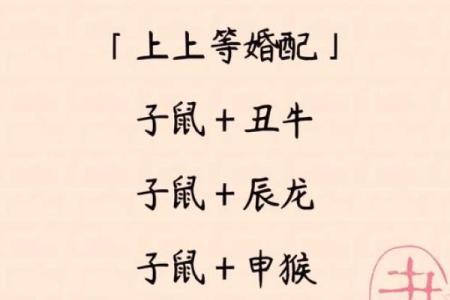 属鼠人姻缘配对 属鼠的人姻缘怎么样？