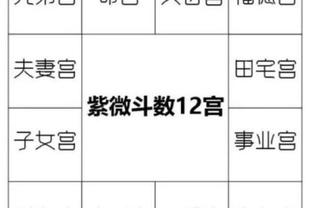 夫妻宫看紫薇斗数