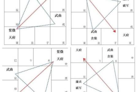 紫微斗数之诸星值限年运气推断：紫微星之限