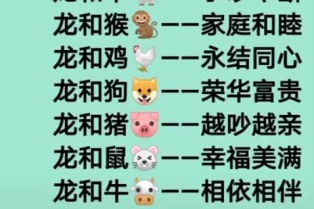 婚姻配对属龙和属蛇姻缘怎么样
