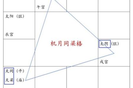 紫薇斗数实例详解视频