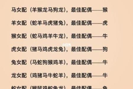 生肖配对-虎和龙的性格特点和最佳组合