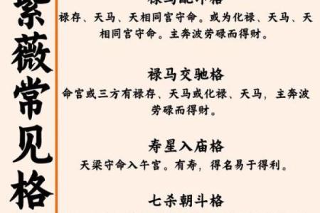 历史人物紫薇斗数