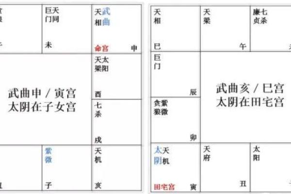 八字命主武曲星
