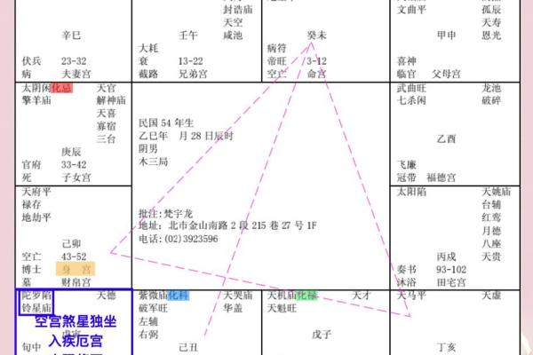 紫薇斗数原理