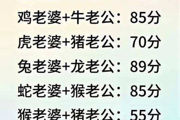 十二生肖配对指数大揭秘