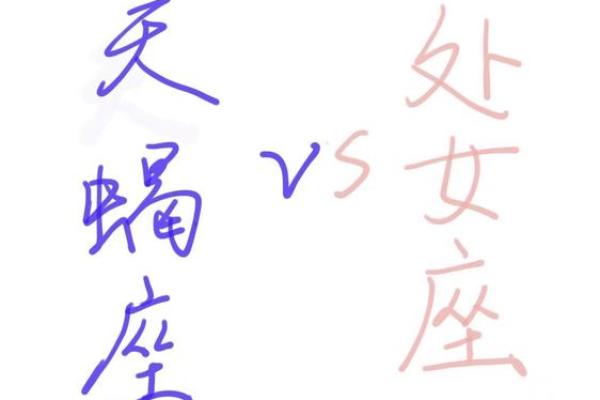 处女座和天蝎座能配对成一对吗男生