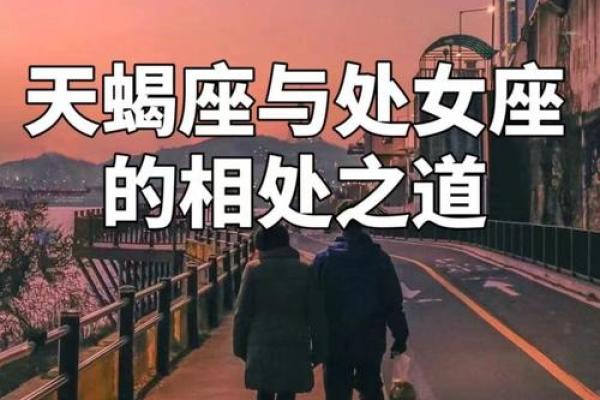 处女座和天蝎座能配对成一对吗男生