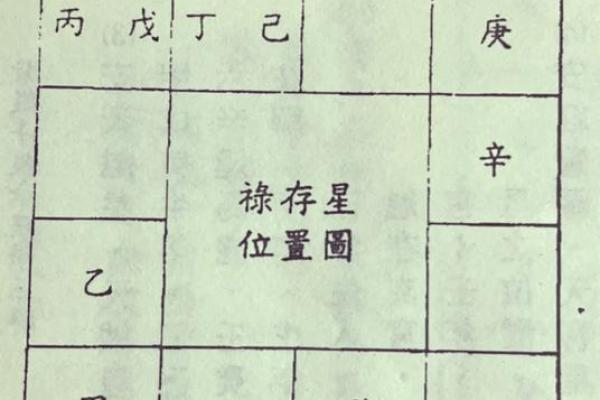 灵动紫薇斗数排盘