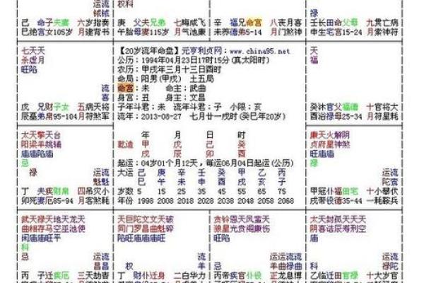 灵动紫薇斗数排盘