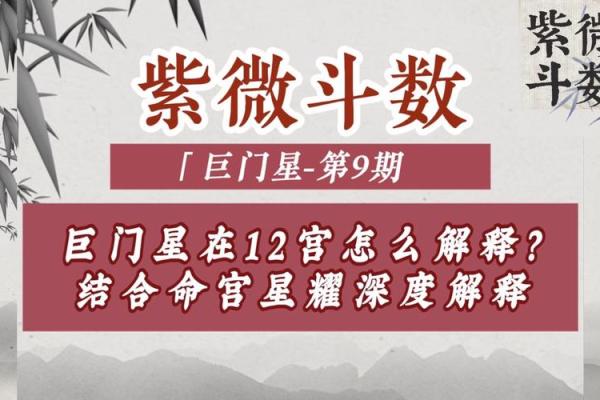 紫微斗数之交友宫与诸星,巨门星在交友宫是什么意思? 紫微斗数之交友宫与诸星,巨门星在交友宫是什么意思?