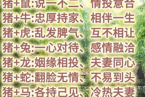 最佳的十二生肖婚姻配对大全
