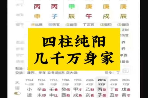 八字纯阳为什么是帝王命取决于什么