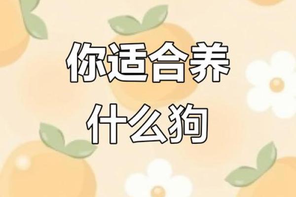 星座最适合什么狗狗