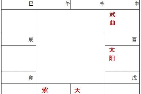 紫薇斗数紫薇星怎么定
