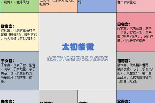 紫薇斗数性格怪异