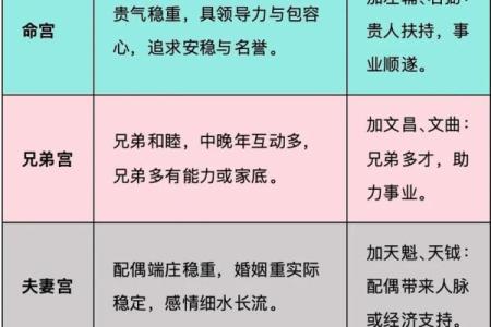 紫薇斗数如何看智慧