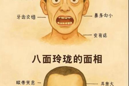 面相算命：巴掌脸的人命运如何