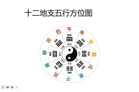 十二地支阴阳五行及方位