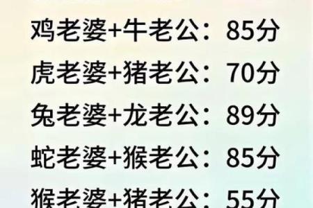 十二生肖配对指数大揭秘