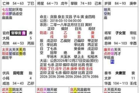 紫薇斗数免费算命