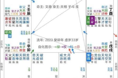 紫微斗数官禄宫详解，能否事业有成全看它