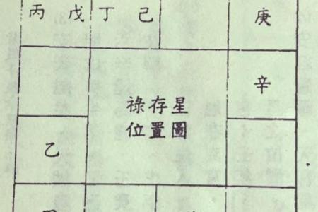 灵动紫薇斗数排盘