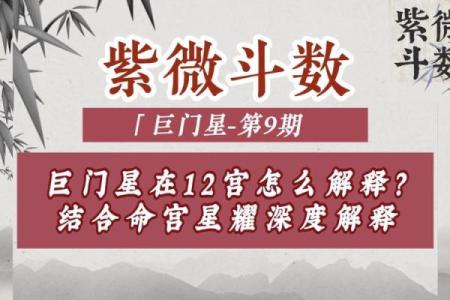 紫微斗数之交友宫与诸星，巨门星在交友宫是什么意思？