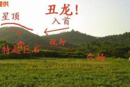 关于住宅和墓地风水的可信度真实性如何