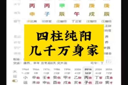 八字纯阳为什么是帝王命取决于什么