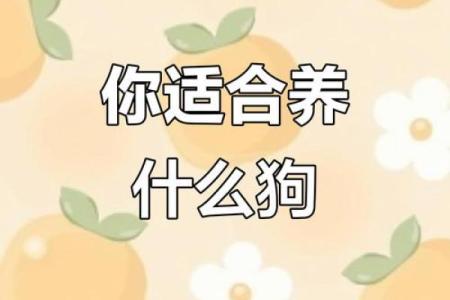 星座最适合什么狗狗