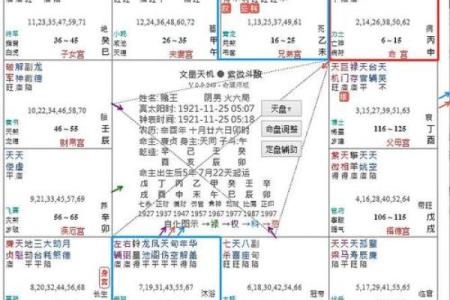 紫薇斗数大限将至